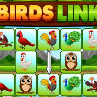 Birds Link