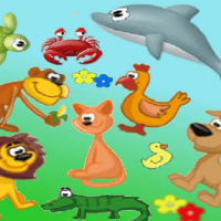 Find Animal - Animal Touch