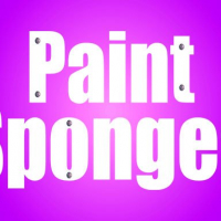 Paint Sponges Puzzle